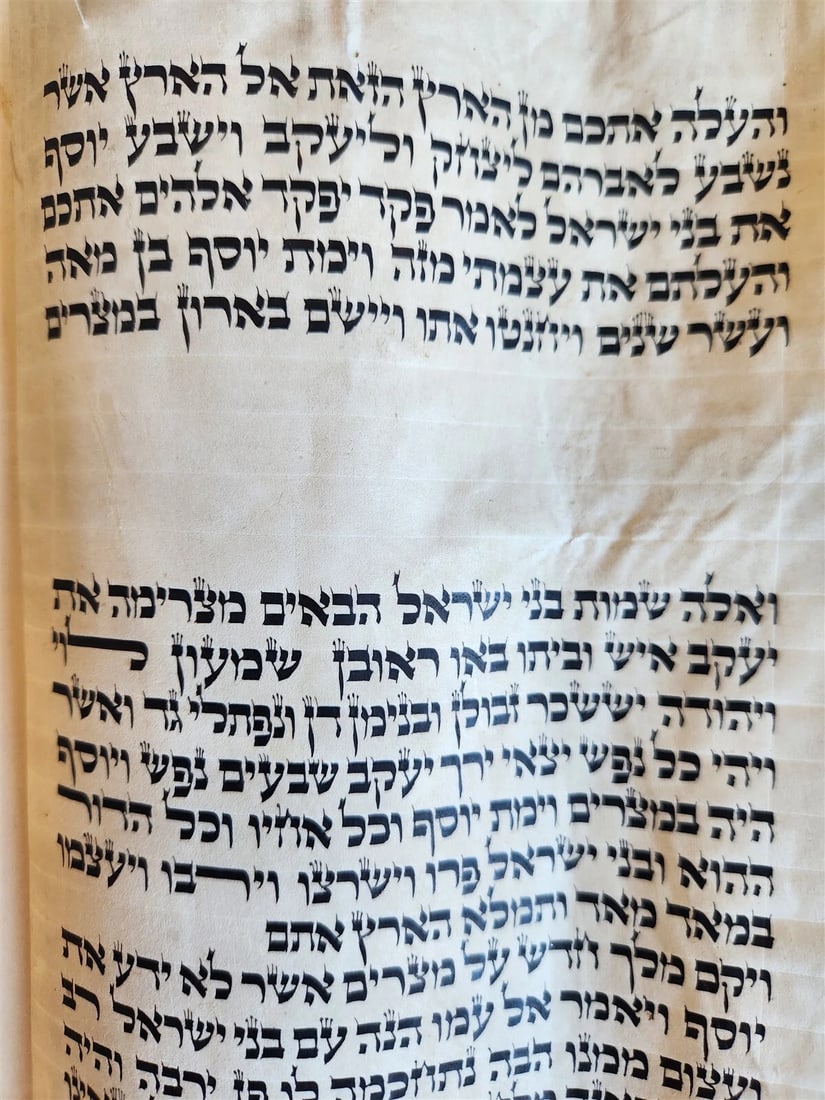 TORAH SCROLL FRAGMENT MANUSCRIPT on VELLUM antique BIBLE DEUTERONOMY 11:4-13:12 - 13