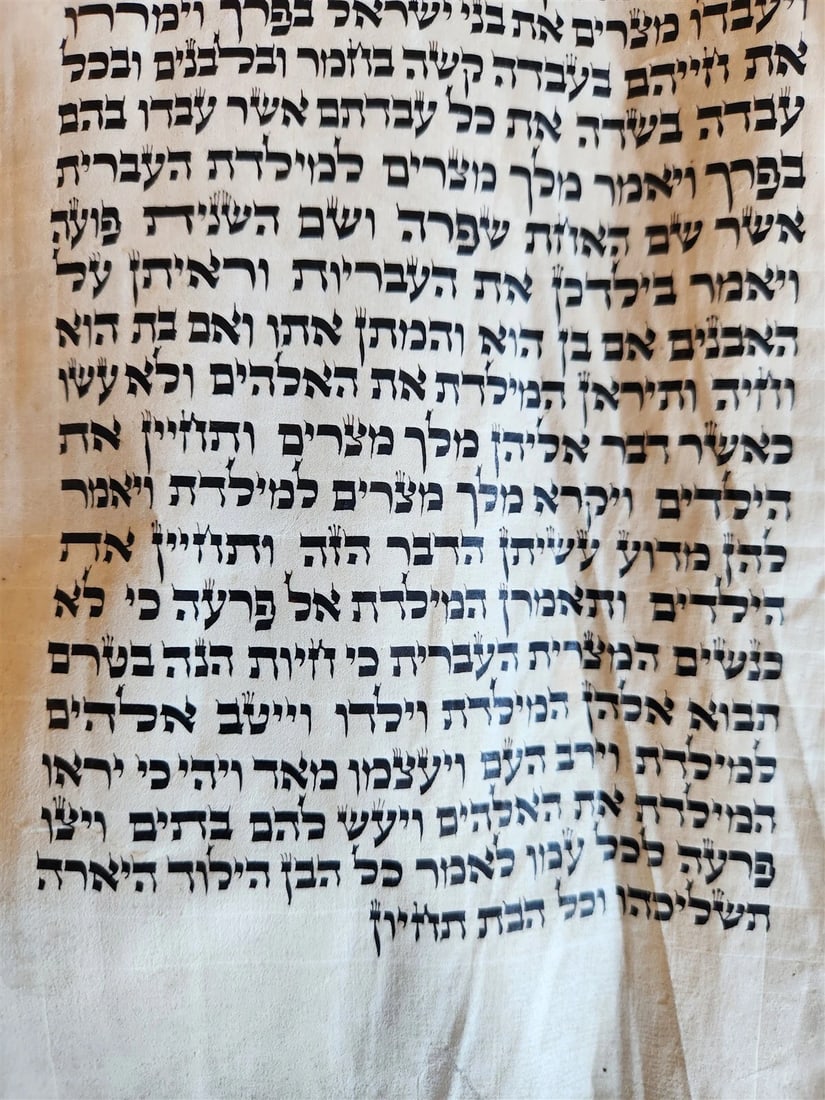 TORAH SCROLL FRAGMENT MANUSCRIPT on VELLUM antique BIBLE DEUTERONOMY 11:4-13:12 - 14