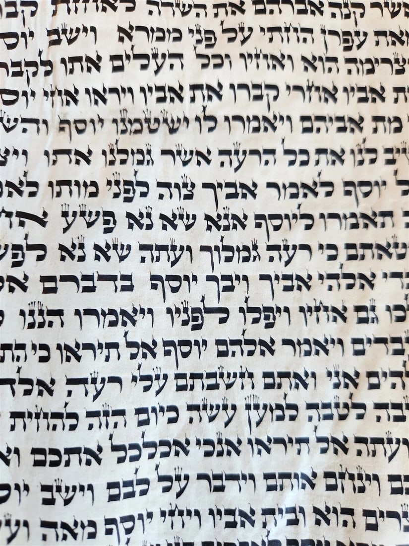 TORAH SCROLL FRAGMENT MANUSCRIPT on VELLUM antique BIBLE DEUTERONOMY 11:4-13:12 - 15