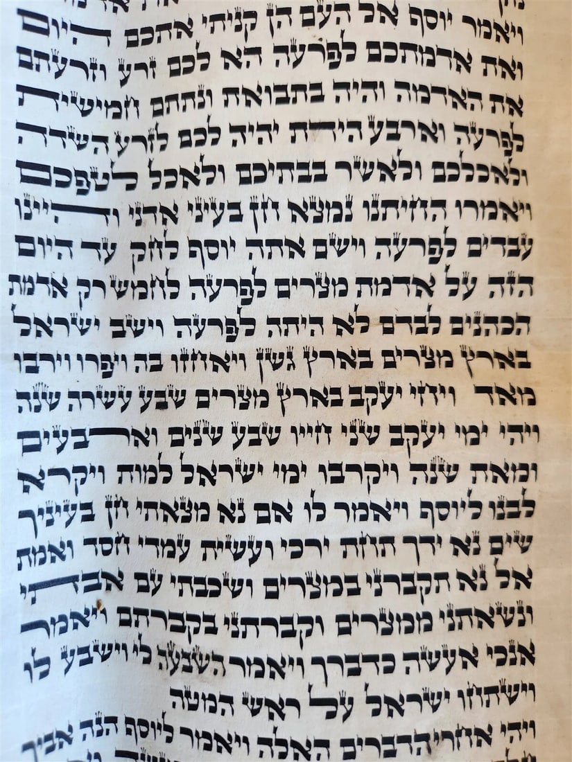 TORAH SCROLL FRAGMENT MANUSCRIPT on VELLUM antique BIBLE DEUTERONOMY 11:4-13:12 - 2