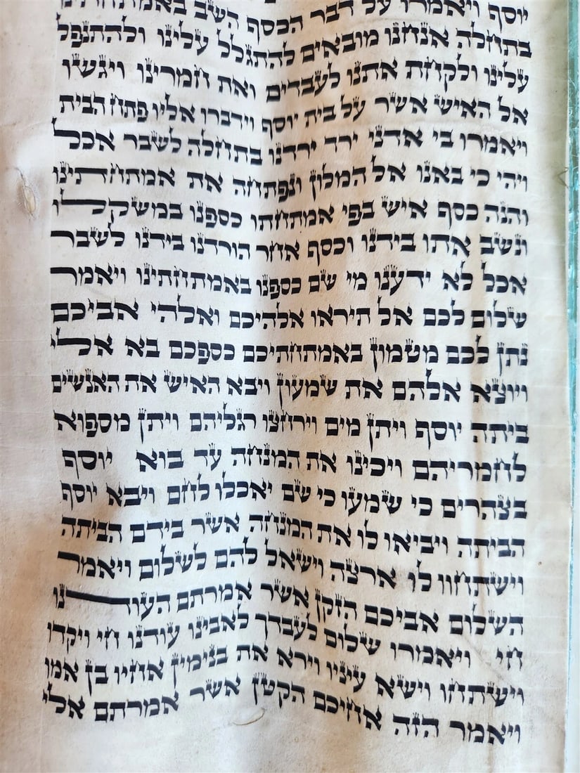 TORAH SCROLL FRAGMENT MANUSCRIPT on VELLUM antique BIBLE DEUTERONOMY 11:4-13:12 - 4