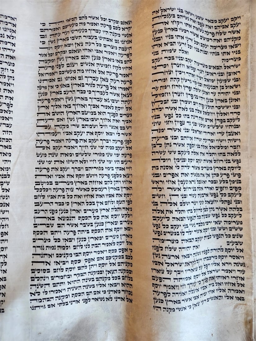 TORAH SCROLL FRAGMENT MANUSCRIPT on VELLUM antique BIBLE DEUTERONOMY 11:4-13:12 - 7