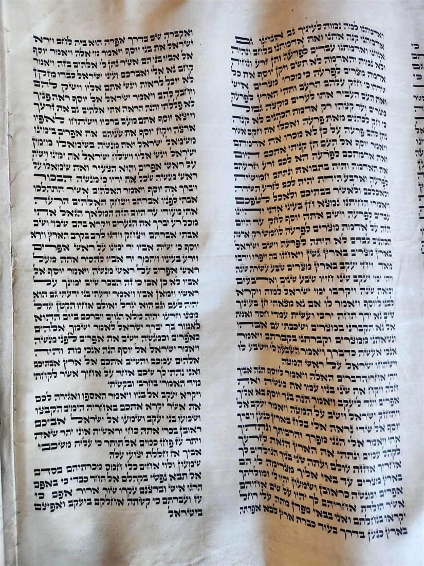 TORAH SCROLL FRAGMENT MANUSCRIPT on VELLUM antique BIBLE DEUTERONOMY 11:4-13:12 - 8