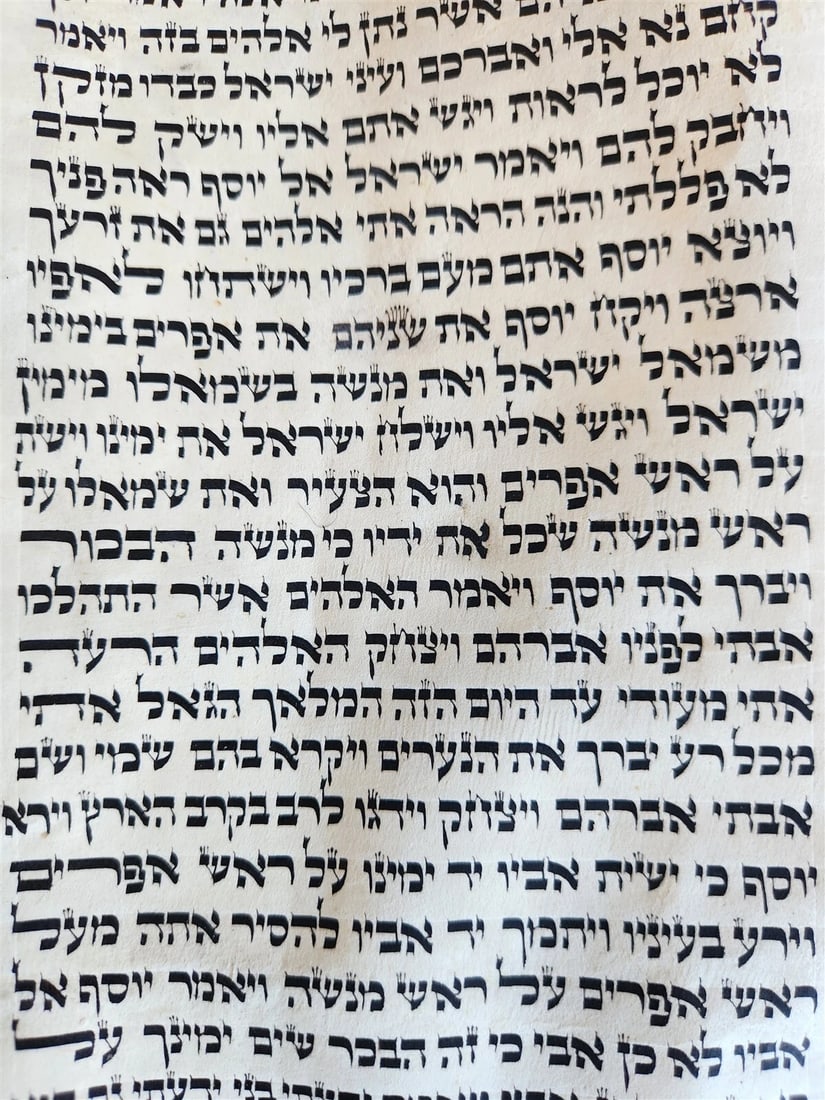 TORAH SCROLL FRAGMENT MANUSCRIPT on VELLUM antique BIBLE DEUTERONOMY 11:4-13:12 - 9