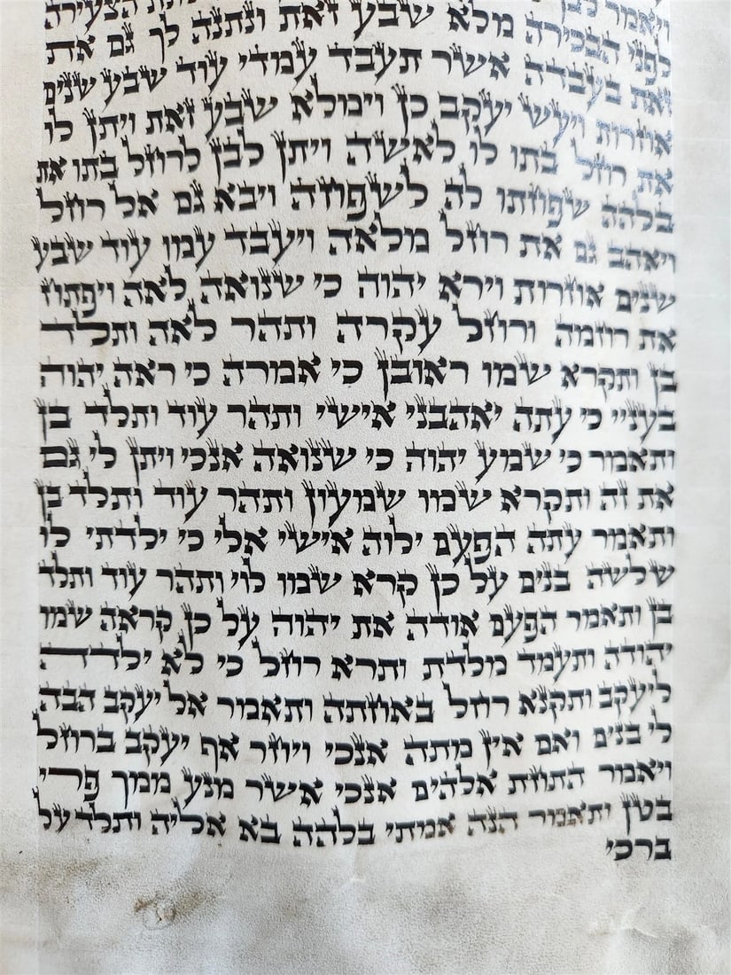 TORAH SCROLL FRAGMENT MANUSCRIPT on VELLUM antique BIBLE GENESIS 27:36 - 30:3 - 3