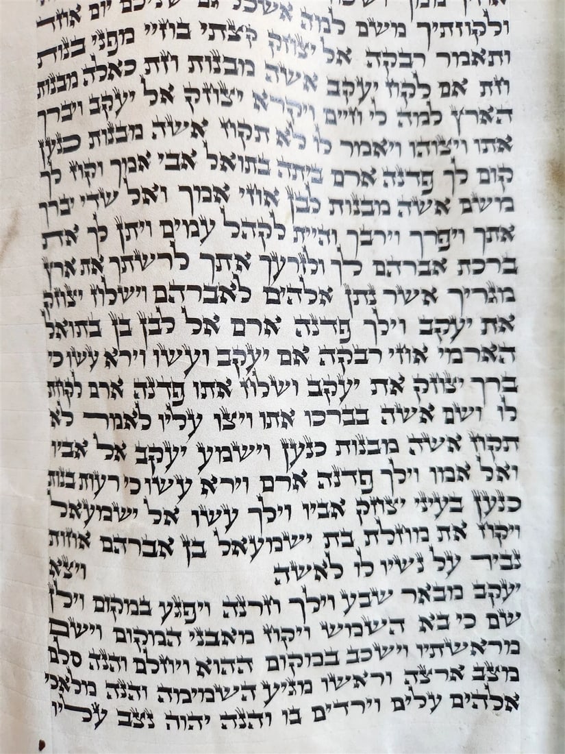 TORAH SCROLL FRAGMENT MANUSCRIPT on VELLUM antique BIBLE GENESIS 27:36 - 30:3 - 4