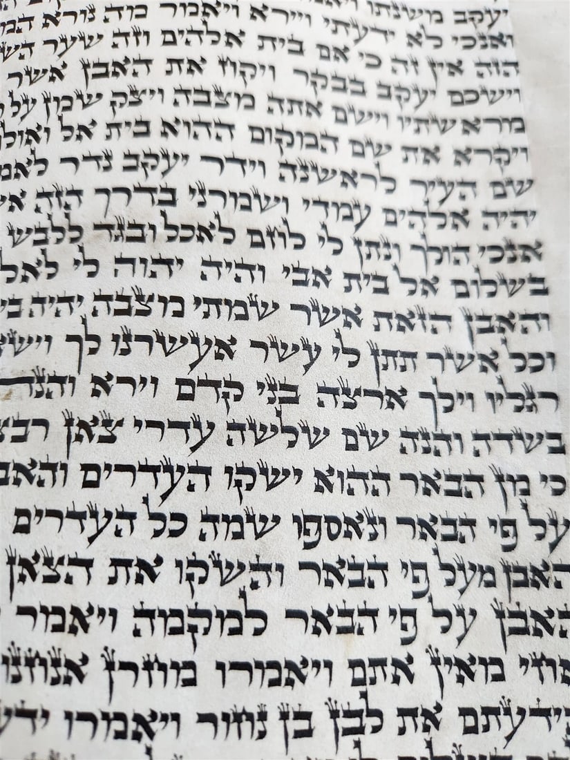 TORAH SCROLL FRAGMENT MANUSCRIPT on VELLUM antique BIBLE GENESIS 27:36 - 30:3 - 6