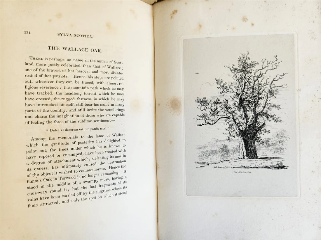 1831 SYLVA BRITANNICA or Portraits of Forest Trees antique ILLUSTRATED - 6