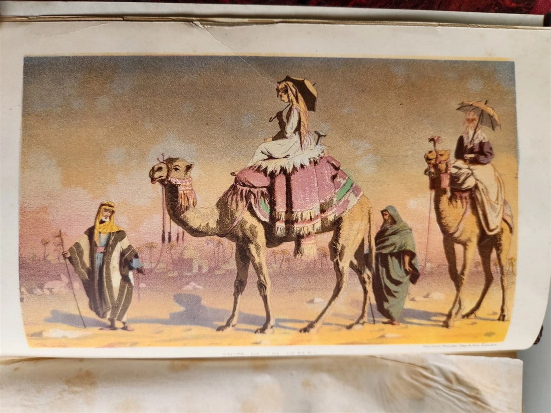 1869 diary in East during tour of Prince & Princess of Wales antique ILLUSTRATED (1 of 13)