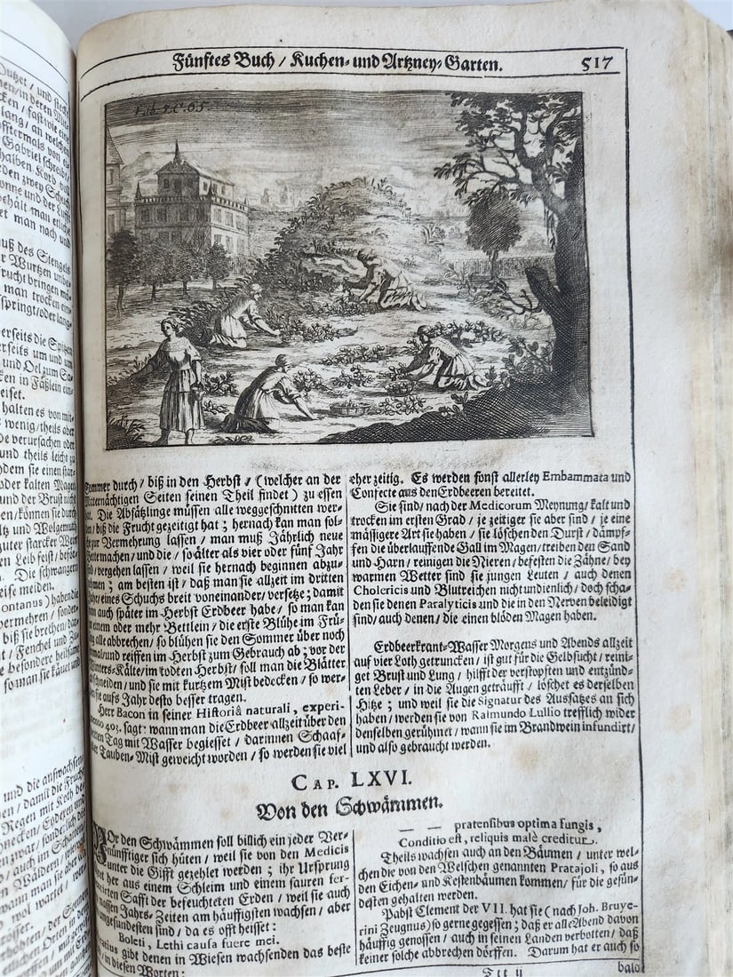 1682 Georgica curiosa ILLUSTRATED noble country life antique PIGSKIN FOLIO - 13