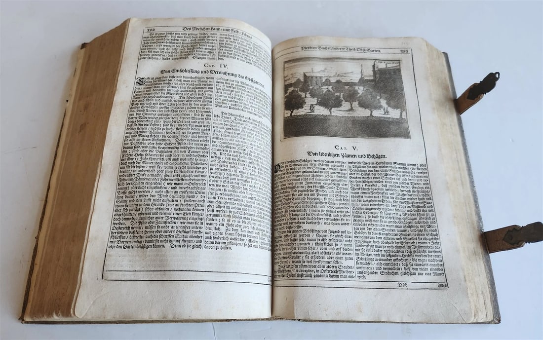 1682 Georgica curiosa ILLUSTRATED noble country life antique PIGSKIN FOLIO - 16