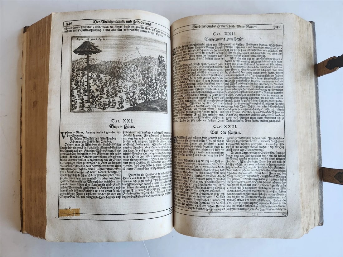 1682 Georgica curiosa ILLUSTRATED noble country life antique PIGSKIN FOLIO - 18