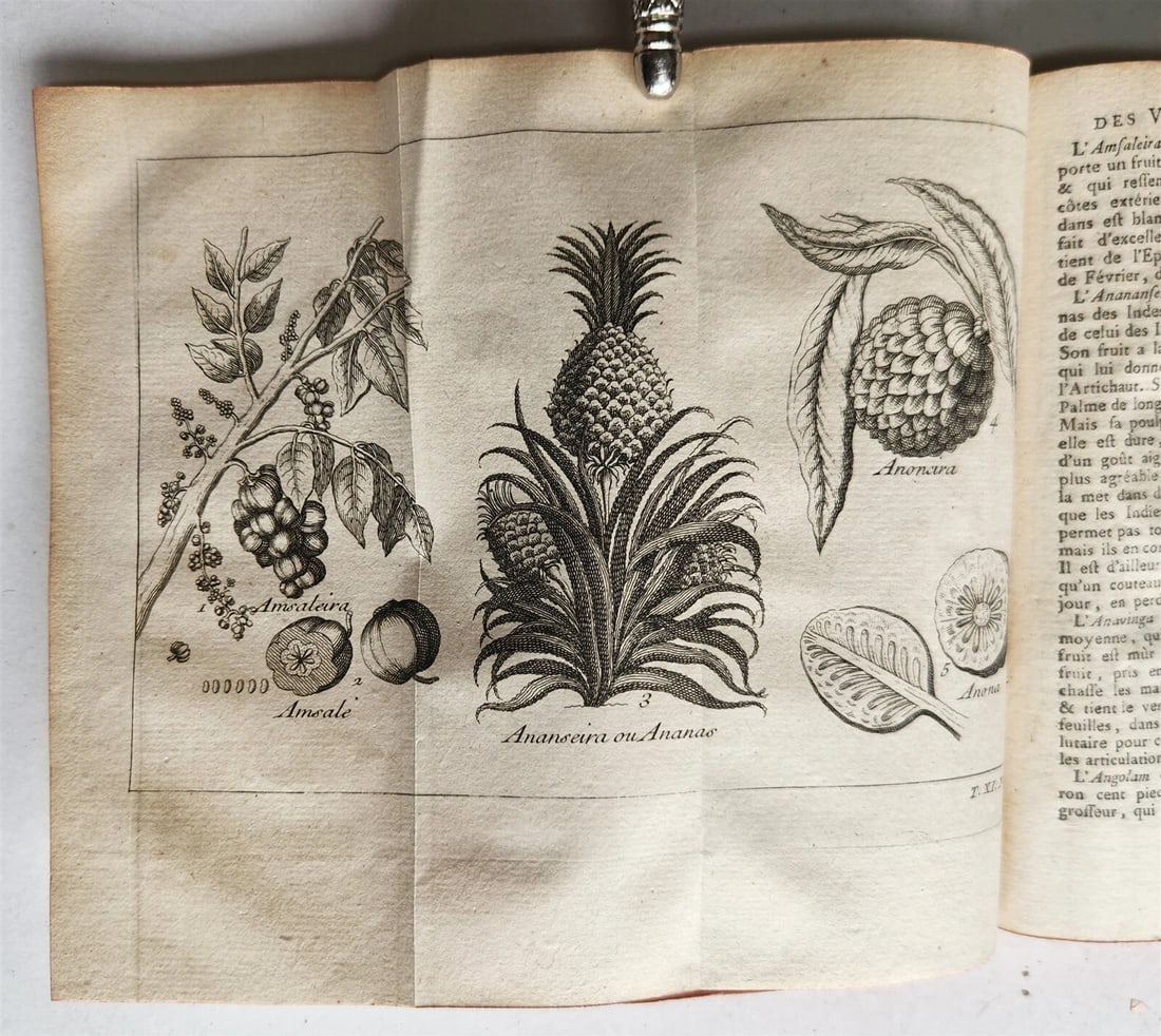 1753 HISTOIRE des VOYAGES antique Vol.44 EAST INDIES TRAVELS illustrated - 7