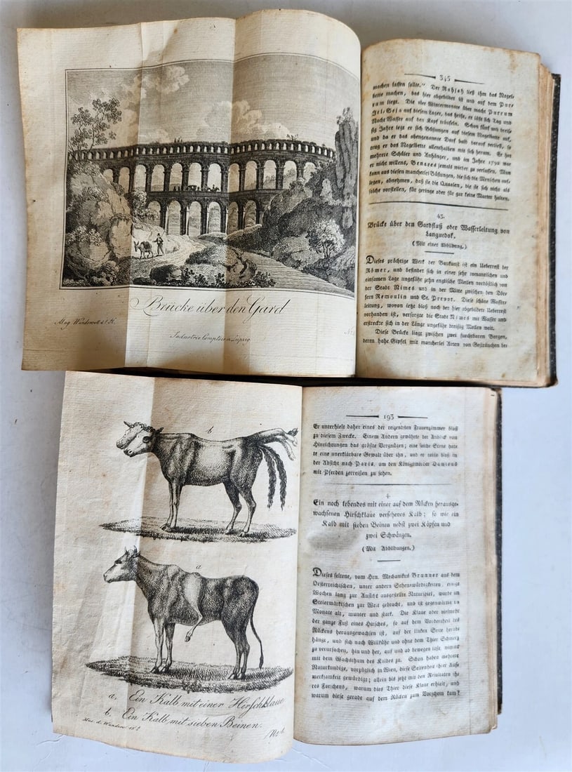 1803-04 EXTRAORDINARY in NATURE ART & HUMAN LIFE 2 VOLUMES antique ILLUSTRATED - 7