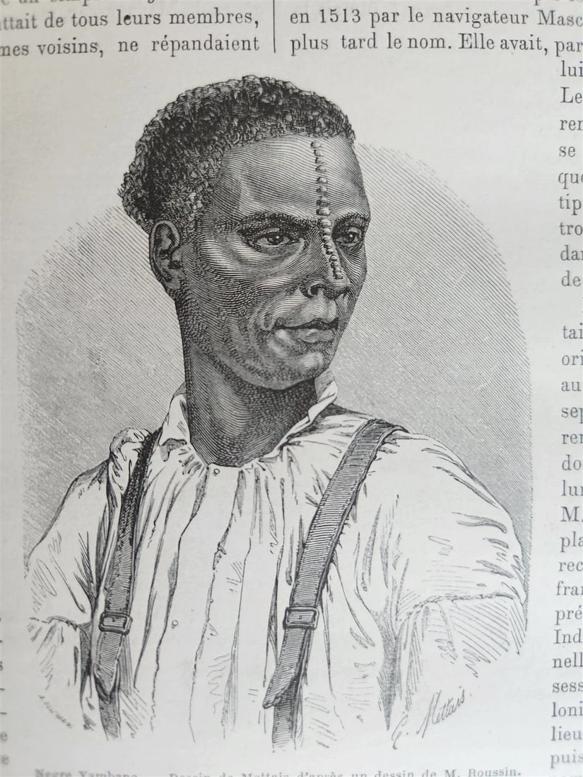 1862 HISTORY of VOYAGES ILLUSTRATED antique RUSSIA S.AMERICA ARABIA SCANDINAVIA - 17