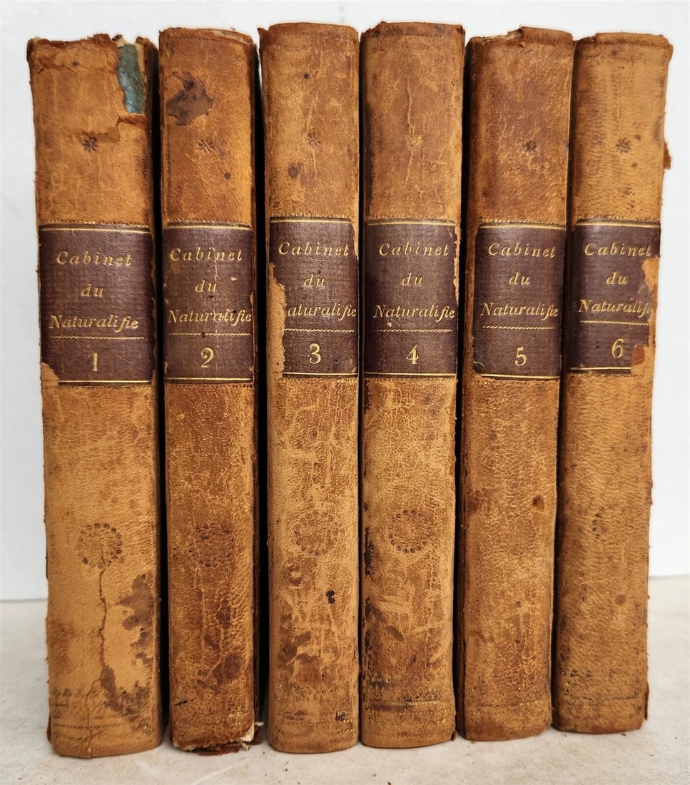 1818 HISTORY of ANIMALS ILLUSTRATED w/ 65 PLATES antique 6 VOLUMES: Title: 1818 HISTORY of ANIMALS ILLUSTRATED w/ 65 PLATES antique 6 VOLUMES Description: Le cabinet du jeune naturaliste ou tableaux interessans de l'histoire des animaux; offant la description de la