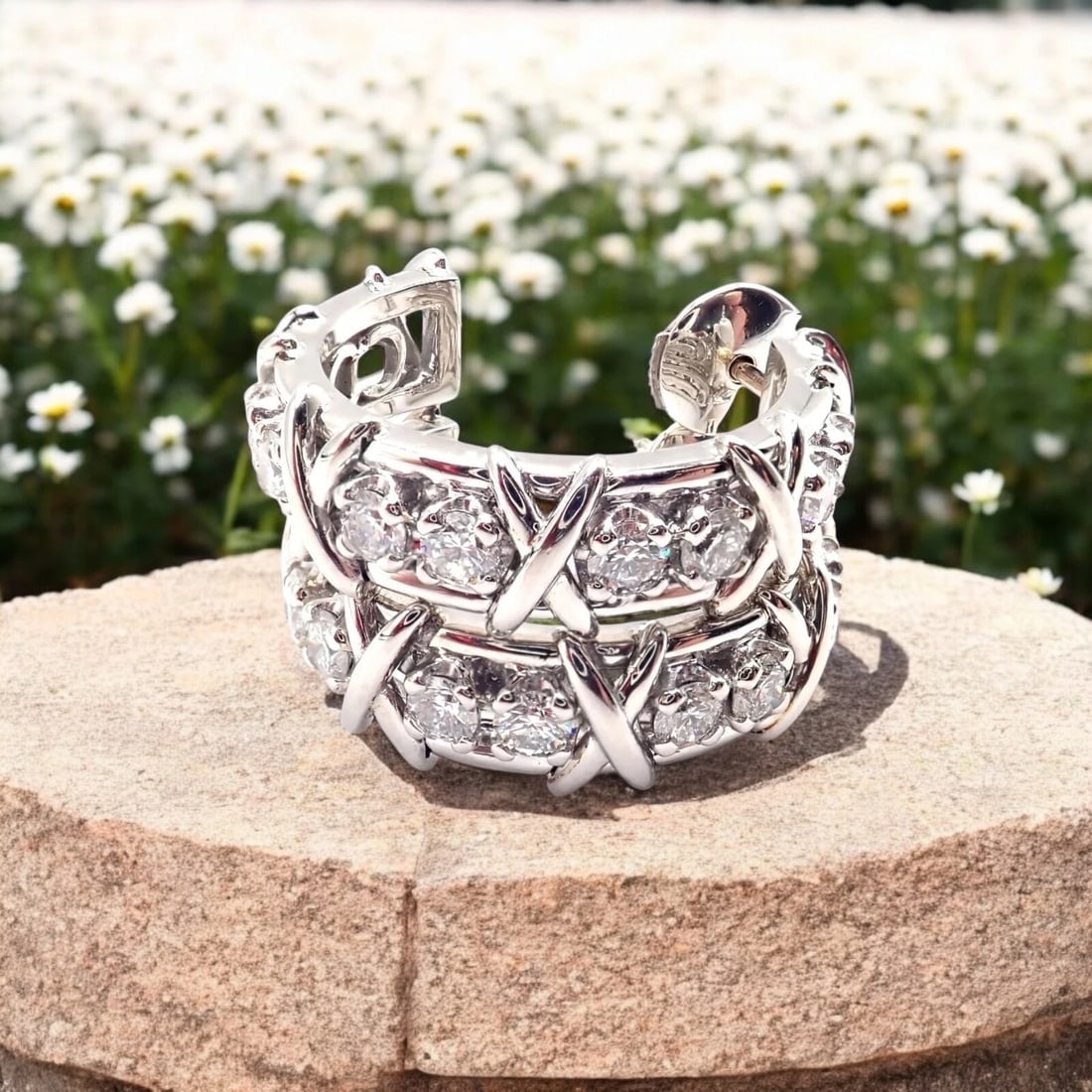 Authentic Tiffany & Co Schlumberger Twenty Stones Platinum Diamond Hoop Earrings - 2