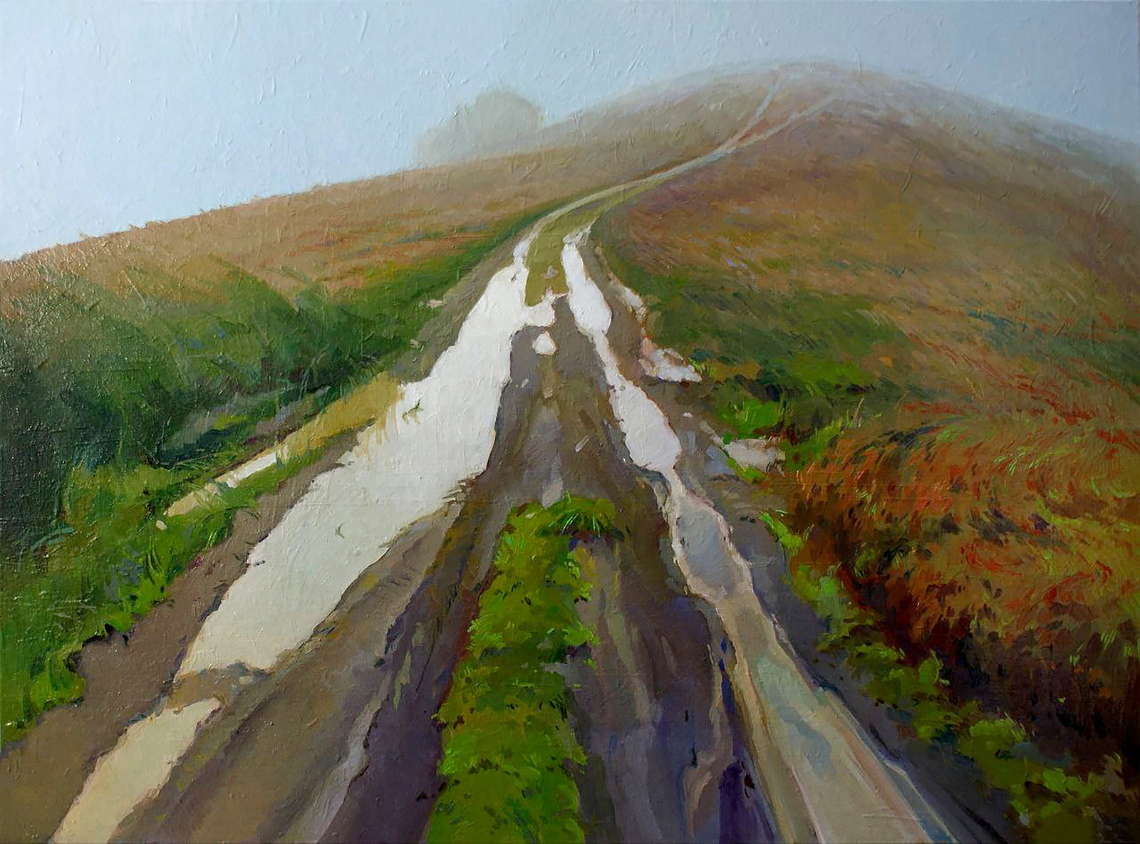 Oil painting Fogs in the mountains Anastasia Yaroshevich: Title: Oil painting Fogs in the mountains Anastasia Yaroshevich Description: 53YARO Painter: Anastasia Yaroshevich Size: 60x80 cm/23.62x31.49 inches Components: oil, canvas Original painting CONDITION