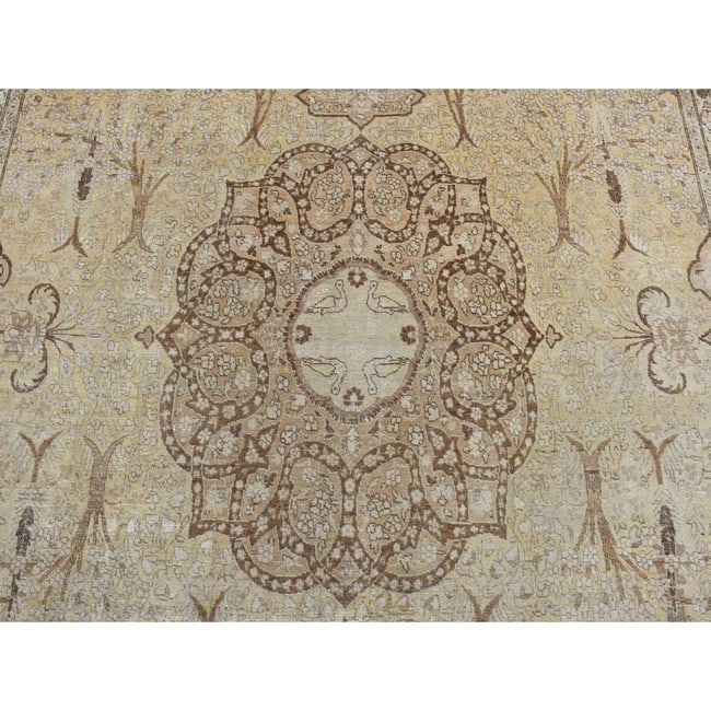Brown, Antique Persian Tabriz Design, Pure Wool Hand Knotted Rug - 8