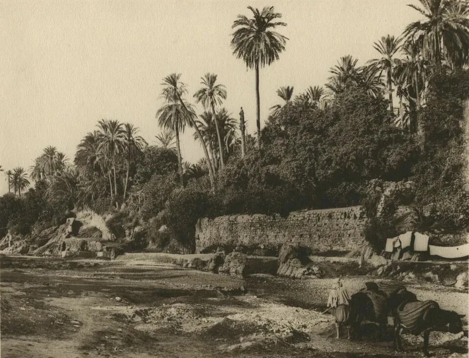 1910 R. Prouho Bou Saada Oued in the oasis, Algeria Photographs Vintage: Title: 1910 R. Prouho Bou Saada Oued in the oasis, Algeria Photographs Vintage Description: Vintage silver print c.1910 Dimension: 23 x 29 cm Reserve: $120.00 Shipping: Domestic: Flat-rate of $20.00