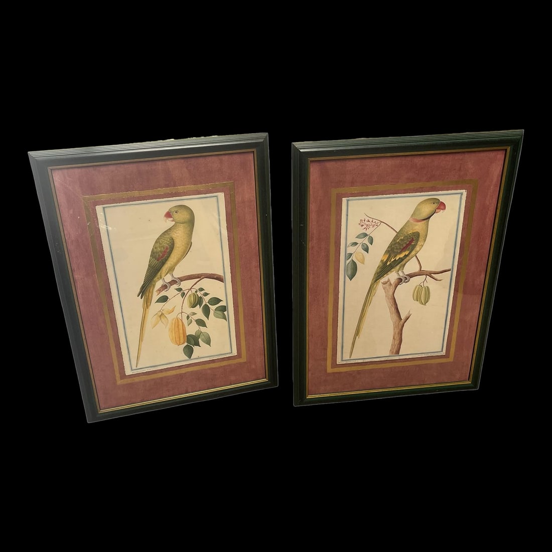Pair of Green Parrot Prints Facing Each Other. Porter Design 1990: Pair of Parrot Professionally Framed and matted with protective glass pane. Comes wired and ready for hanging in Homer Office. Pieter de Bevere Loten Collection. Devon Editions Seattle Wa. Copyright