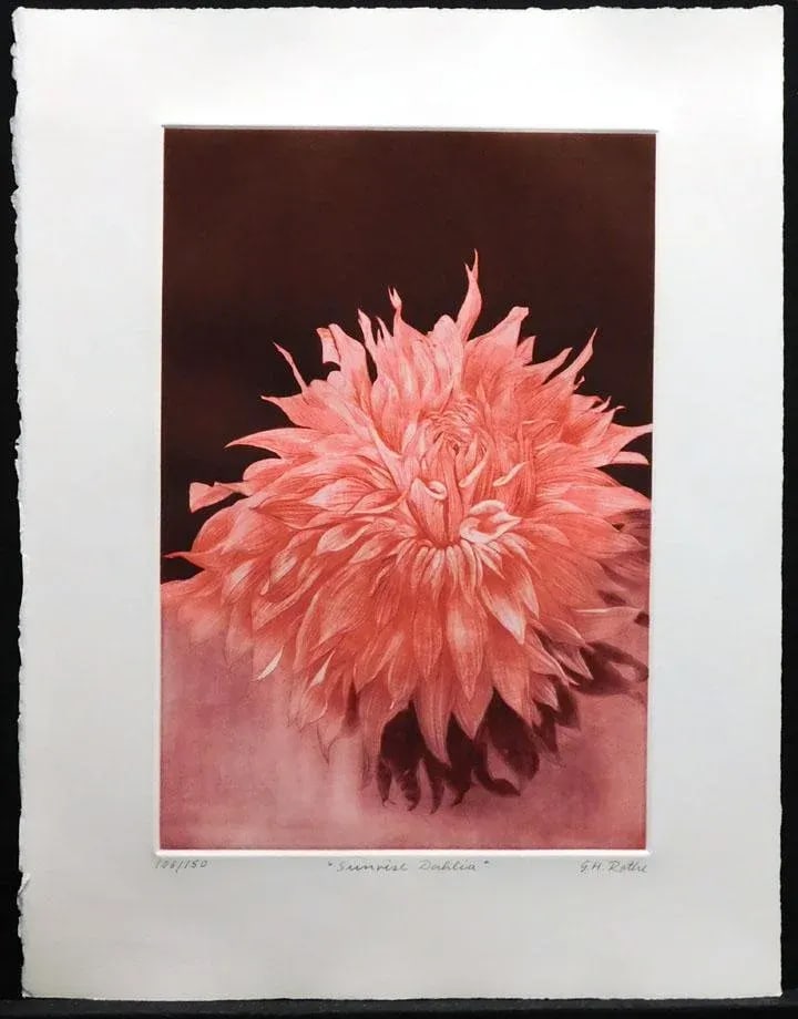 1970s "Sunrise Dahlia" Realist Style Botanical Mezzotint Etching by GH Rothe - 2