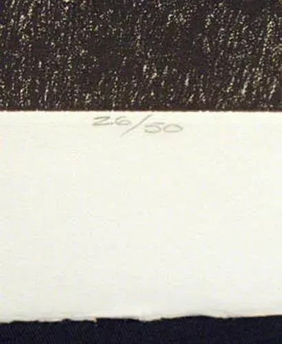 1980 "Lockheed Loadstar" Airplane Print by Malcolm Childers - 4