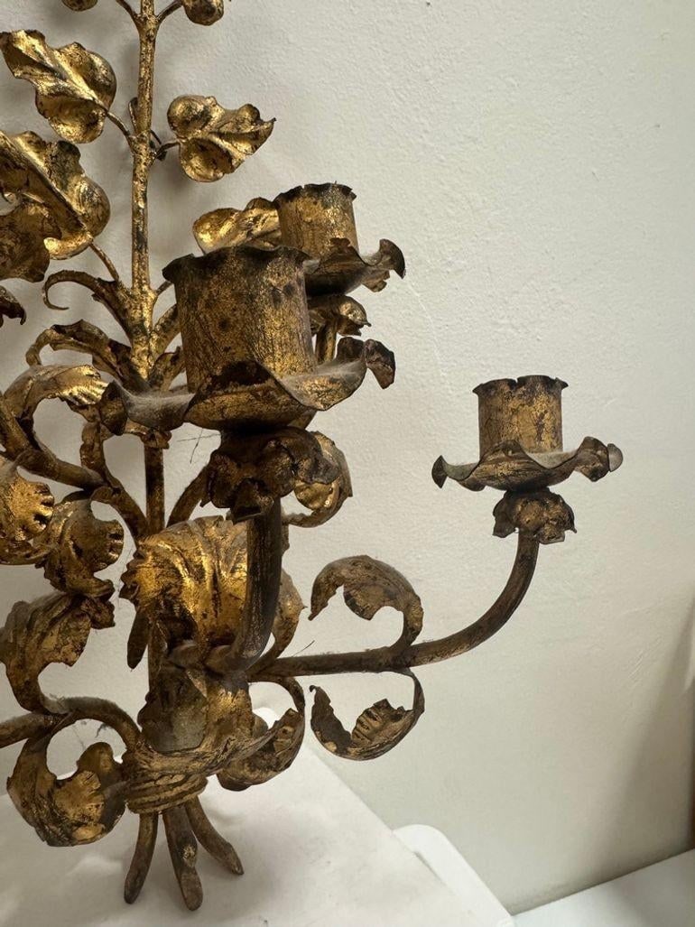 Antique Italian Wall Sconce Candelabra With Gilt Gold Leaf Motif for Five Candles, C. 1920s - 4