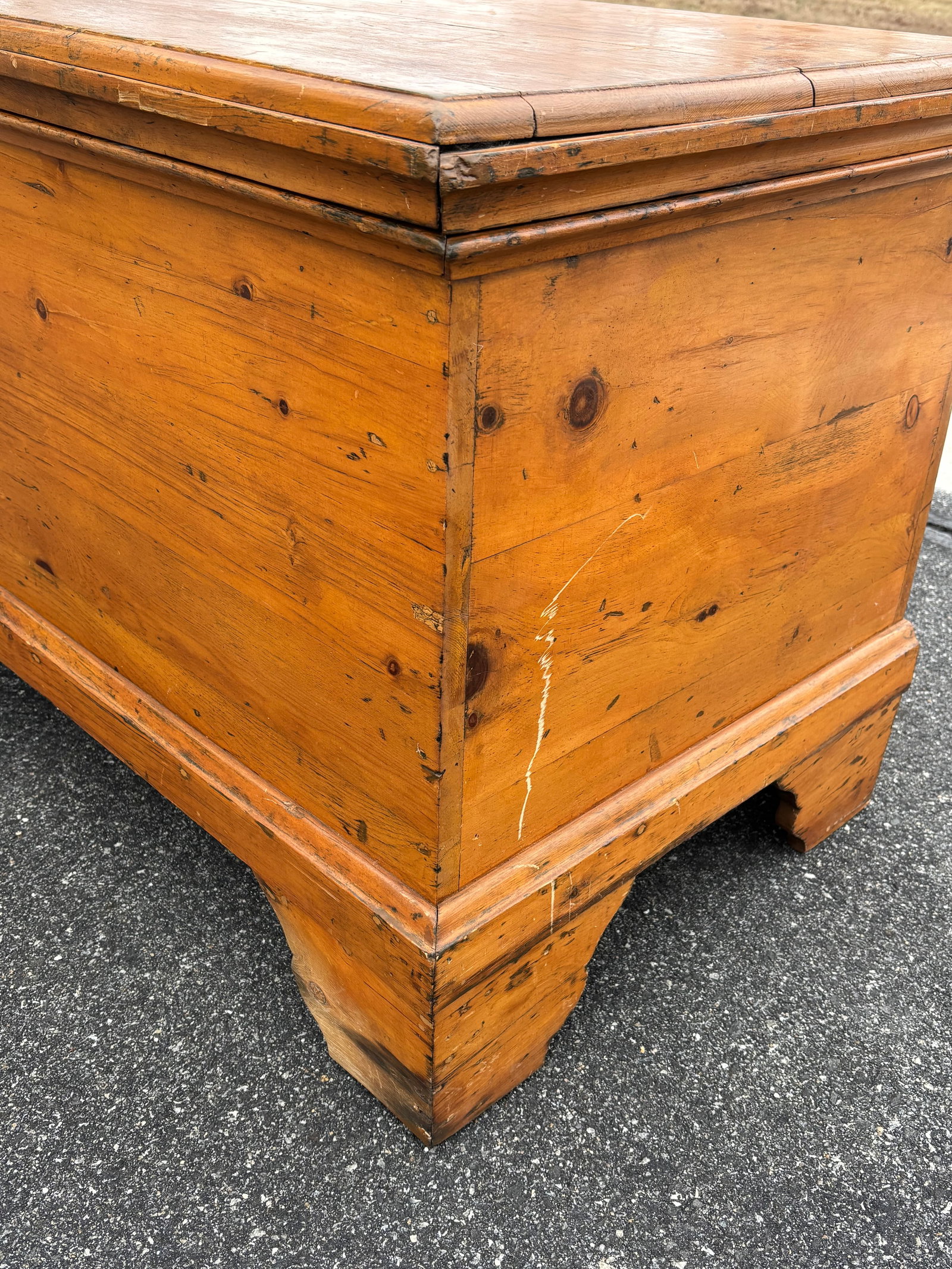 19th C. Highly Detailed English Pine Blanket Chest - 6