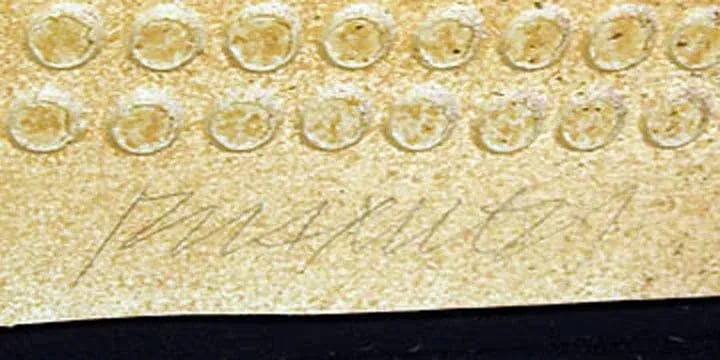 Paul Maxwell "#674 Veil" Signed Fine Art Stencil Casting - 2