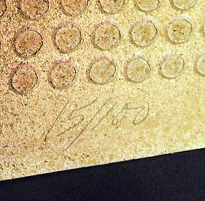 Paul Maxwell "#674 Veil" Signed Fine Art Stencil Casting - 4