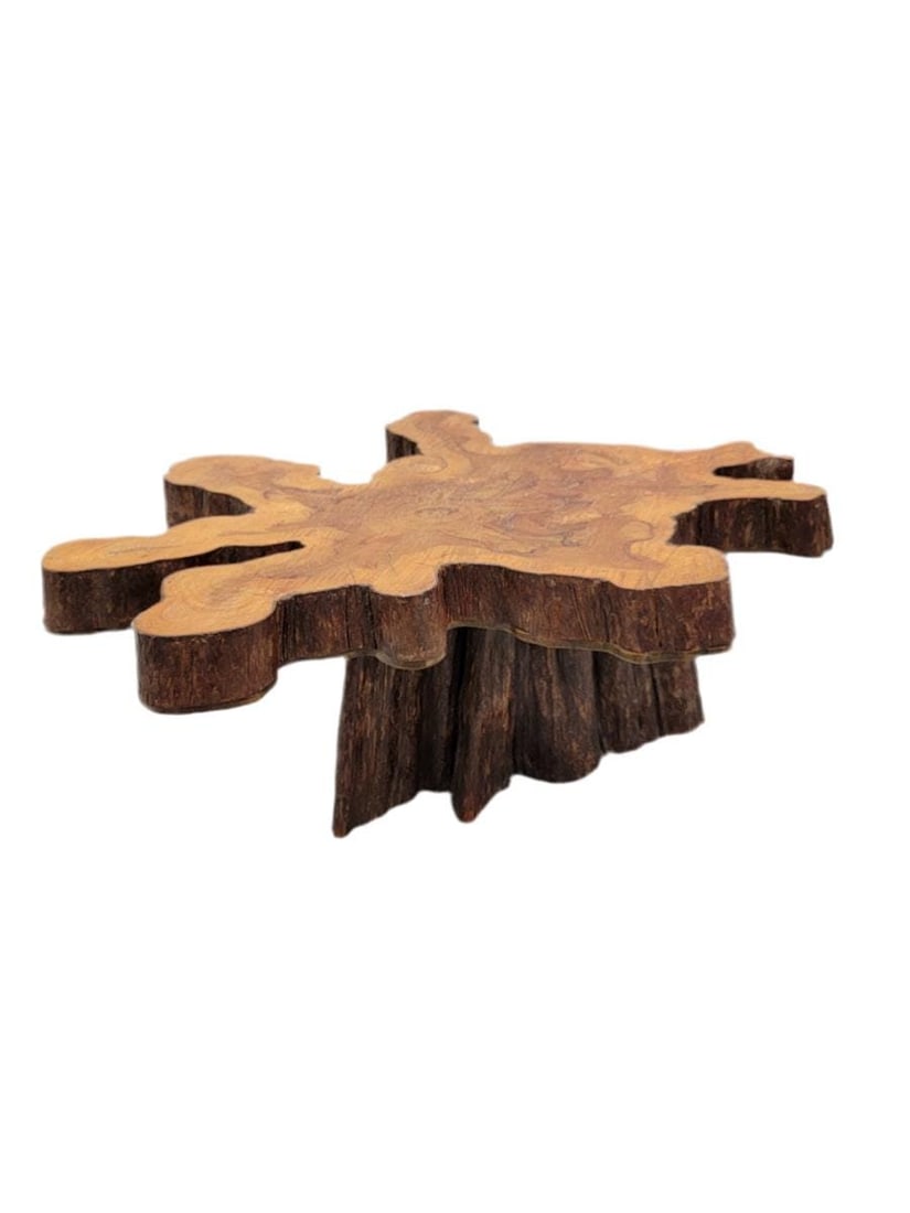 Vintage Live Edge Natural Free-Form Tree Cut Coffee Table (1 of 9)