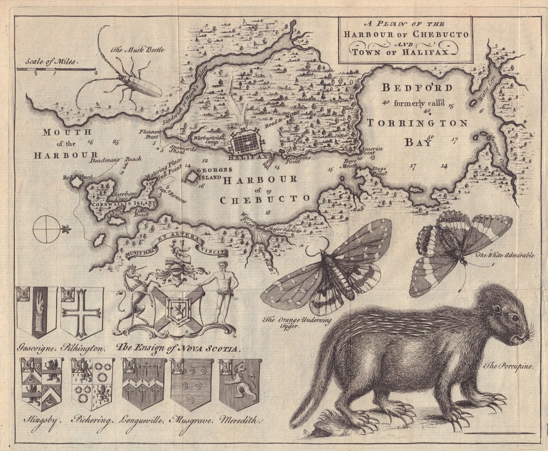 A Plan of the Harbour of Chebucto & Town of Halifax. Canada. GENTS MAG 1750 map (1 of 1)