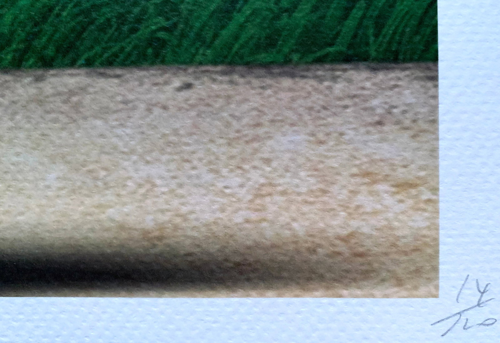 Death NYC Snoopy - 3