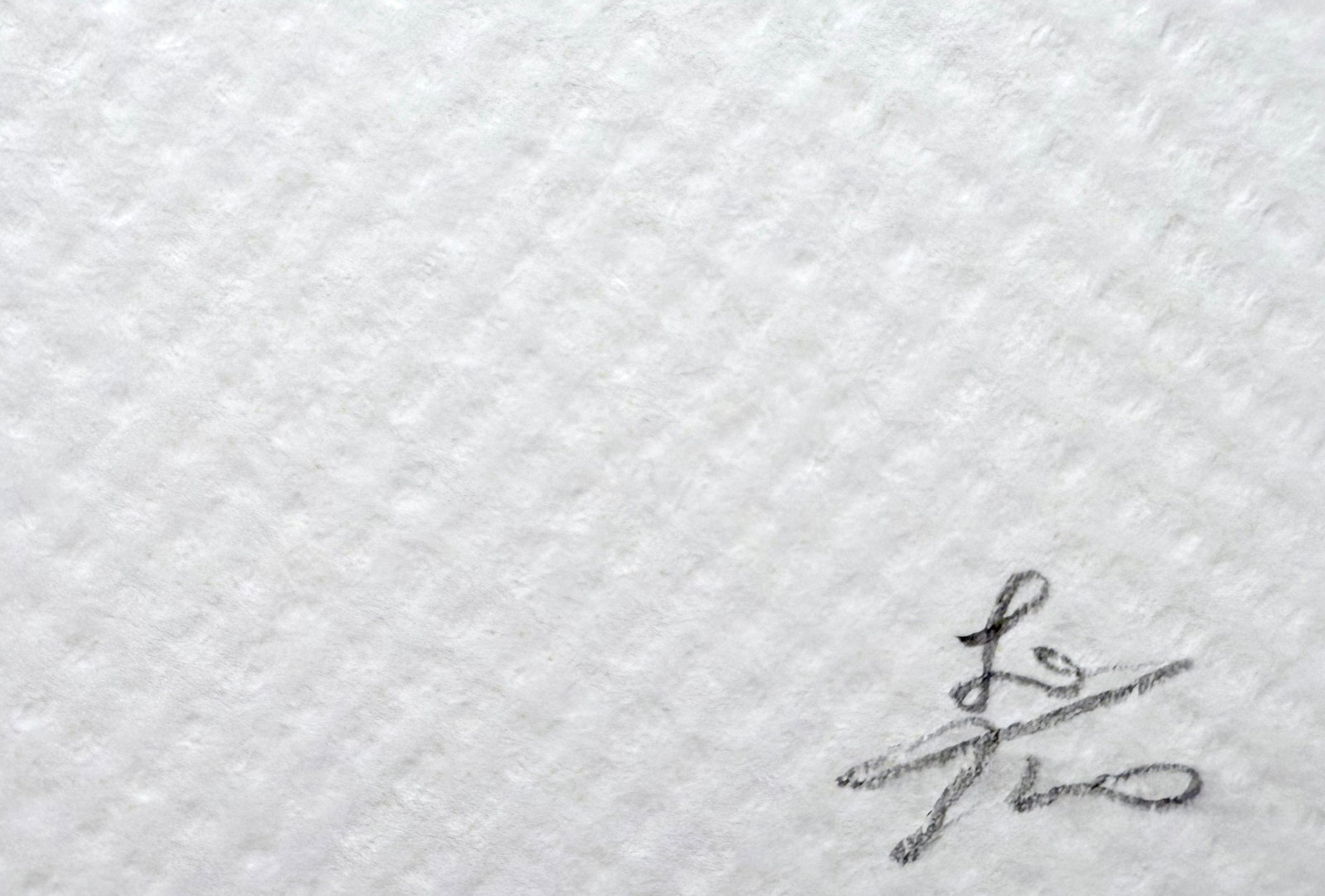 Death NYC Audrey - 3