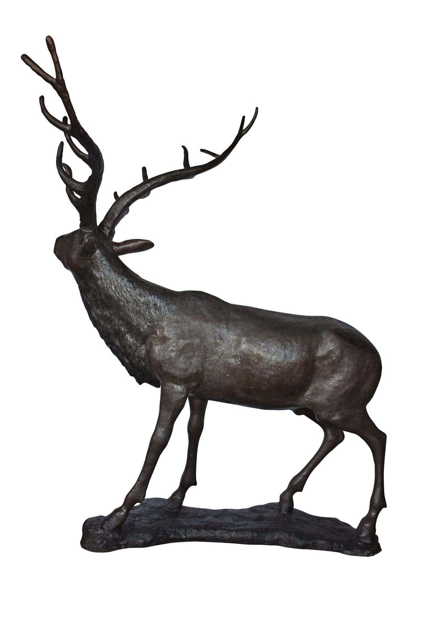 Lifesize And Incredibly Detailed Reindeer Bronze Statue Size: 75" x 50" x 85"H: Title:Lifesize And Incredibly Detailed Reindeer Bronze Statue Size: 75" x 50" x 85"H Description:Here is a magnificent, impressive life size bronze statue of a reindeer. The sculpture is cast in the