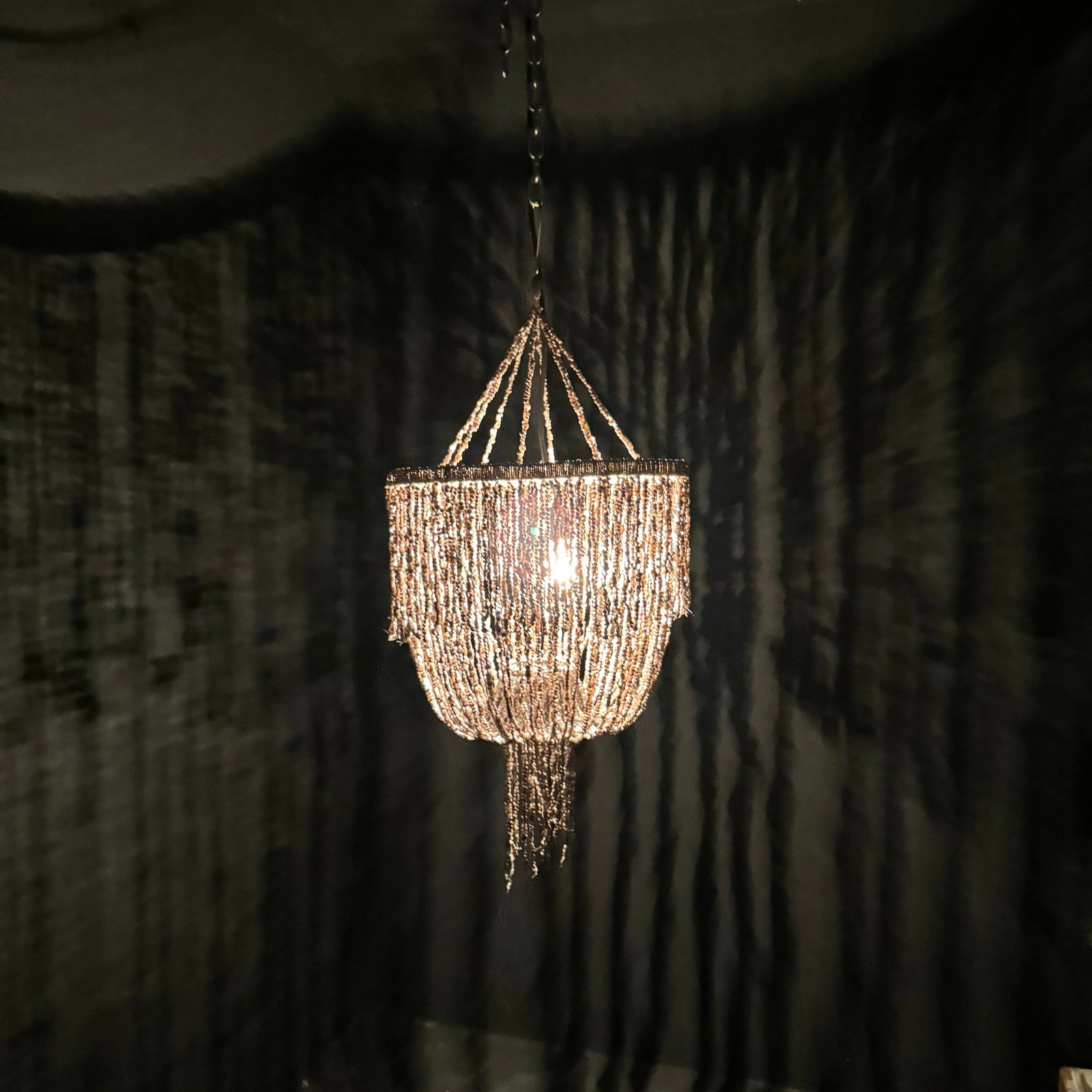 Stunning Shell Chandelier - 8