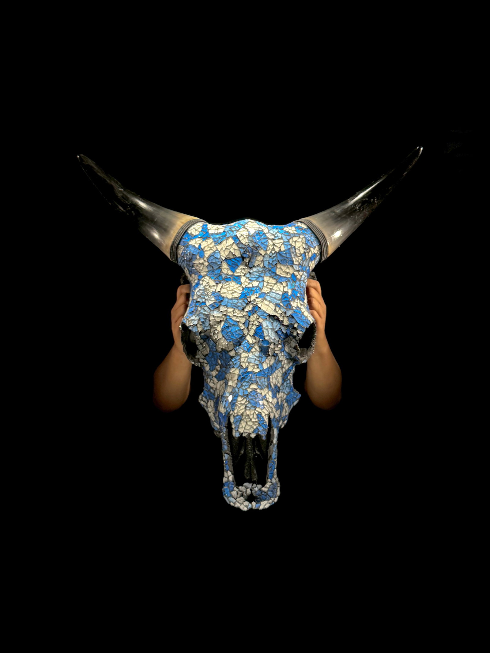 Stunning cow skull with glass mosaic inlay: Title:Stunning cow skull with glass mosaic inlay ,li>Maker:Unknown Origin:Indonesia Date/Period:2026 Materials:Bos Taurus, Bone, Horn Dimensions:Height: 54 cm / 21.2 inches, Width: 55 cm / 21.6