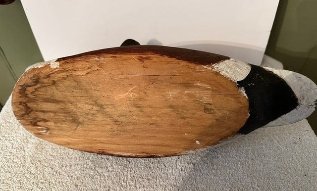 Male Shoveler Duck Decoy w/Turned Head - 2