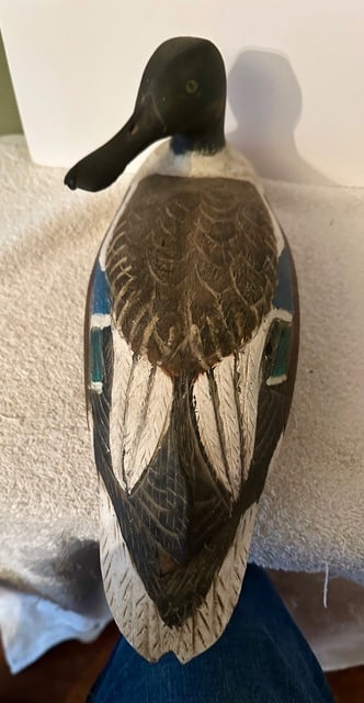 Male Shoveler Duck Decoy w/Turned Head - 3