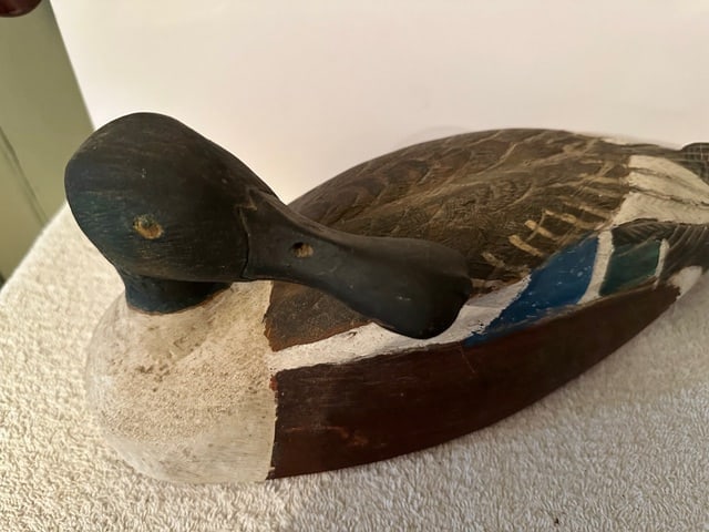Male Shoveler Duck Decoy w/Turned Head - 5