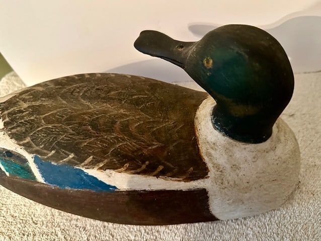 Male Shoveler Duck Decoy w/Turned Head - 6