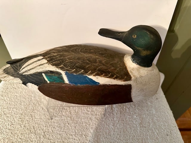 Male Shoveler Duck Decoy w/Turned Head - 7