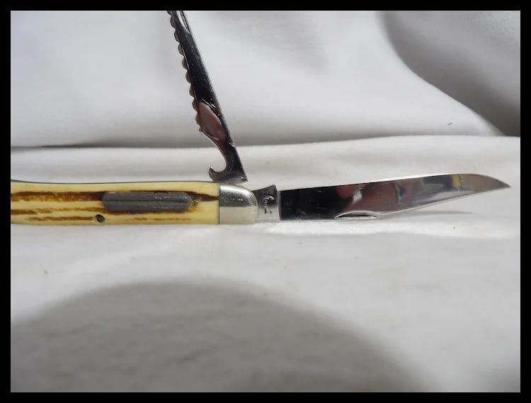 Queen Cutlery Co. #46 Toothpick Fish Knife in Winterbottom Bone - 3