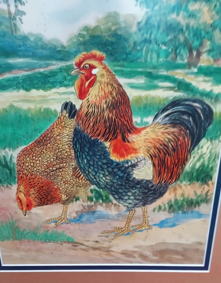 Chicken Watercolor. Great Colors Well Done unsigned - 2