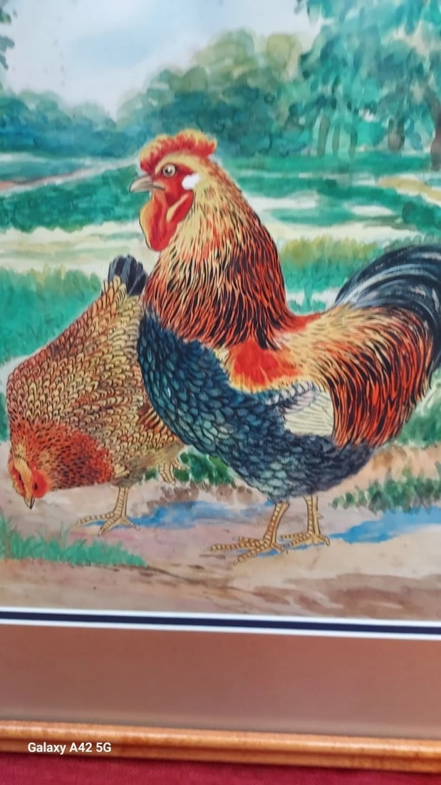 Chicken Watercolor. Great Colors Well Done unsigned - 3