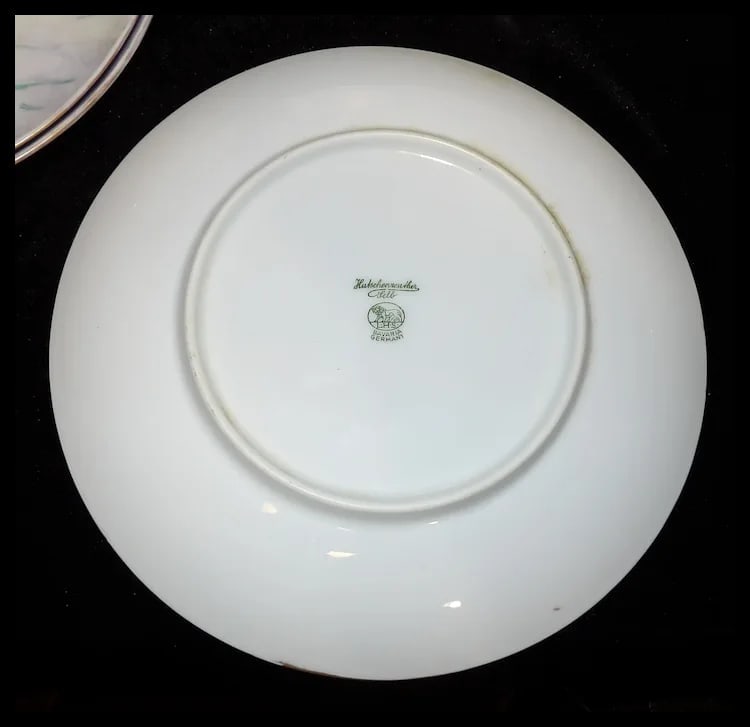 Vintage Hutschenreuther Selb Bavaria Germany Hand Painted Fish Platter & Plates Signed - 10