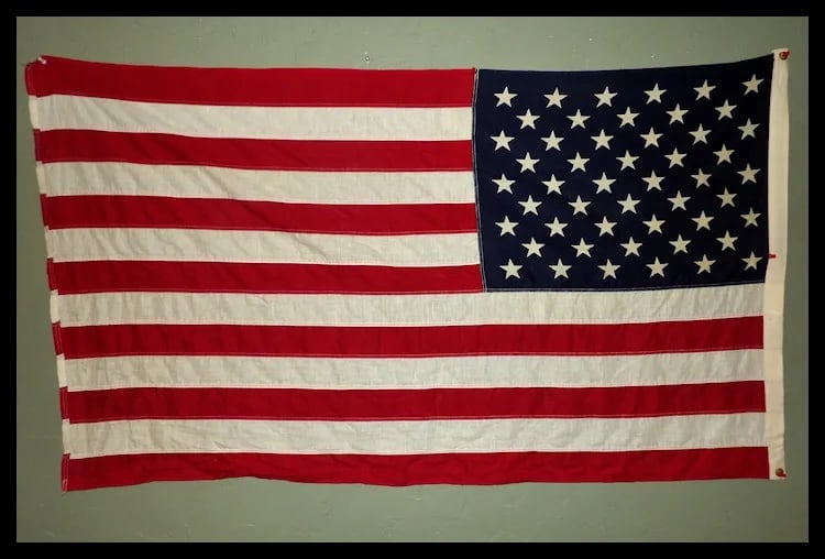 Valley Forge Flag Co USA FLAG "Pioneer" 3x5' - 100% Cotton Flag - 6