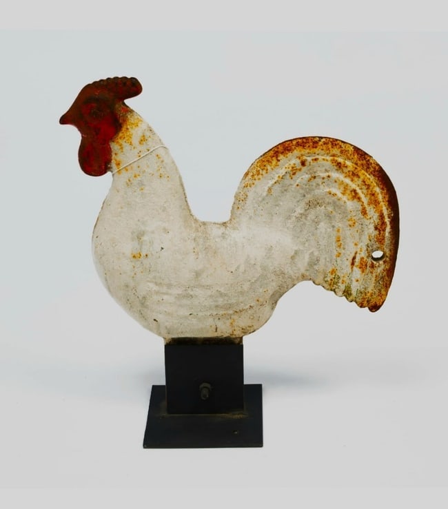 ROOSTER THE RAINBOW TAIL - 2