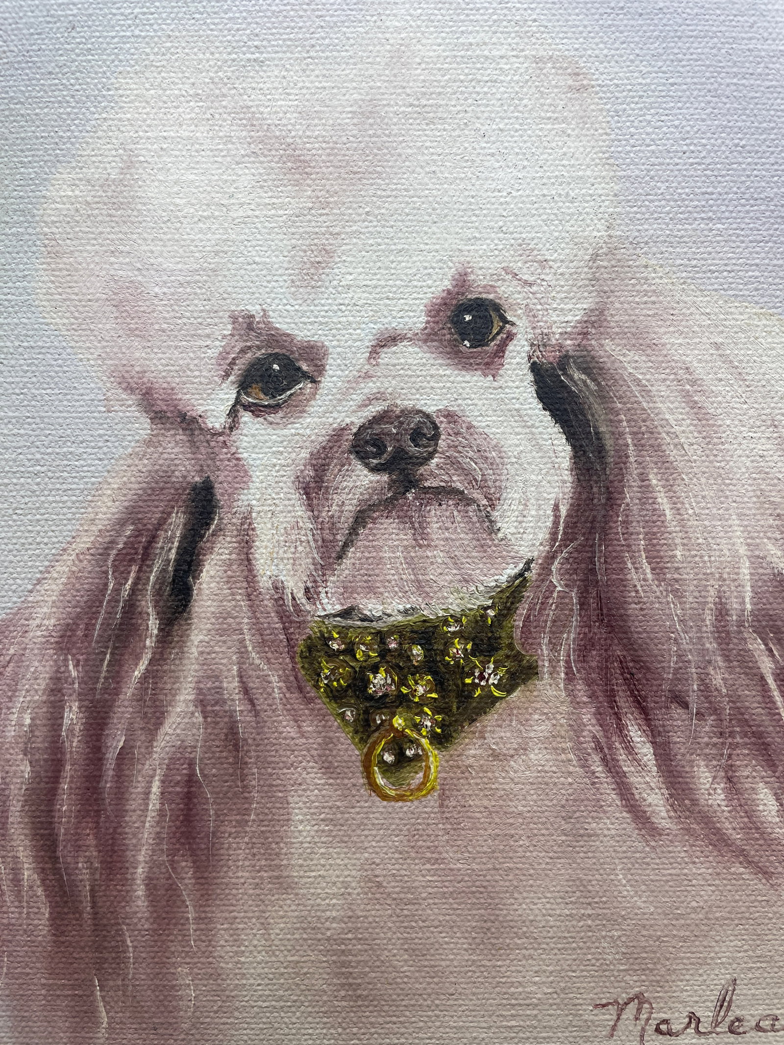 Vintage Poodle Oil On Canvas Portrait Original Signed Flocked Frame - 3